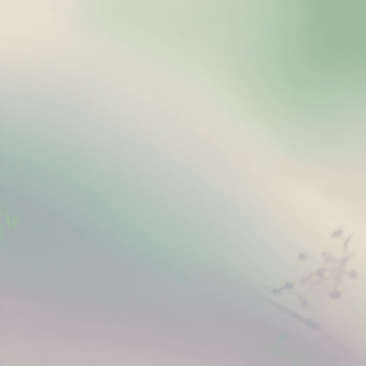 Aromatic Ascent game banner