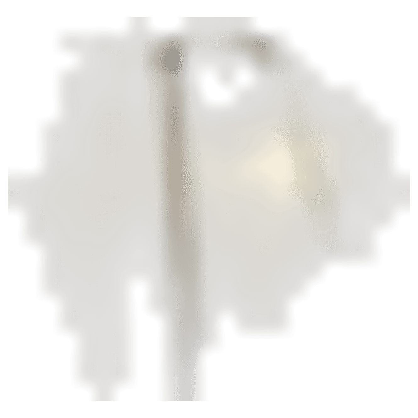 Kvíz o Jižní Americe game banner