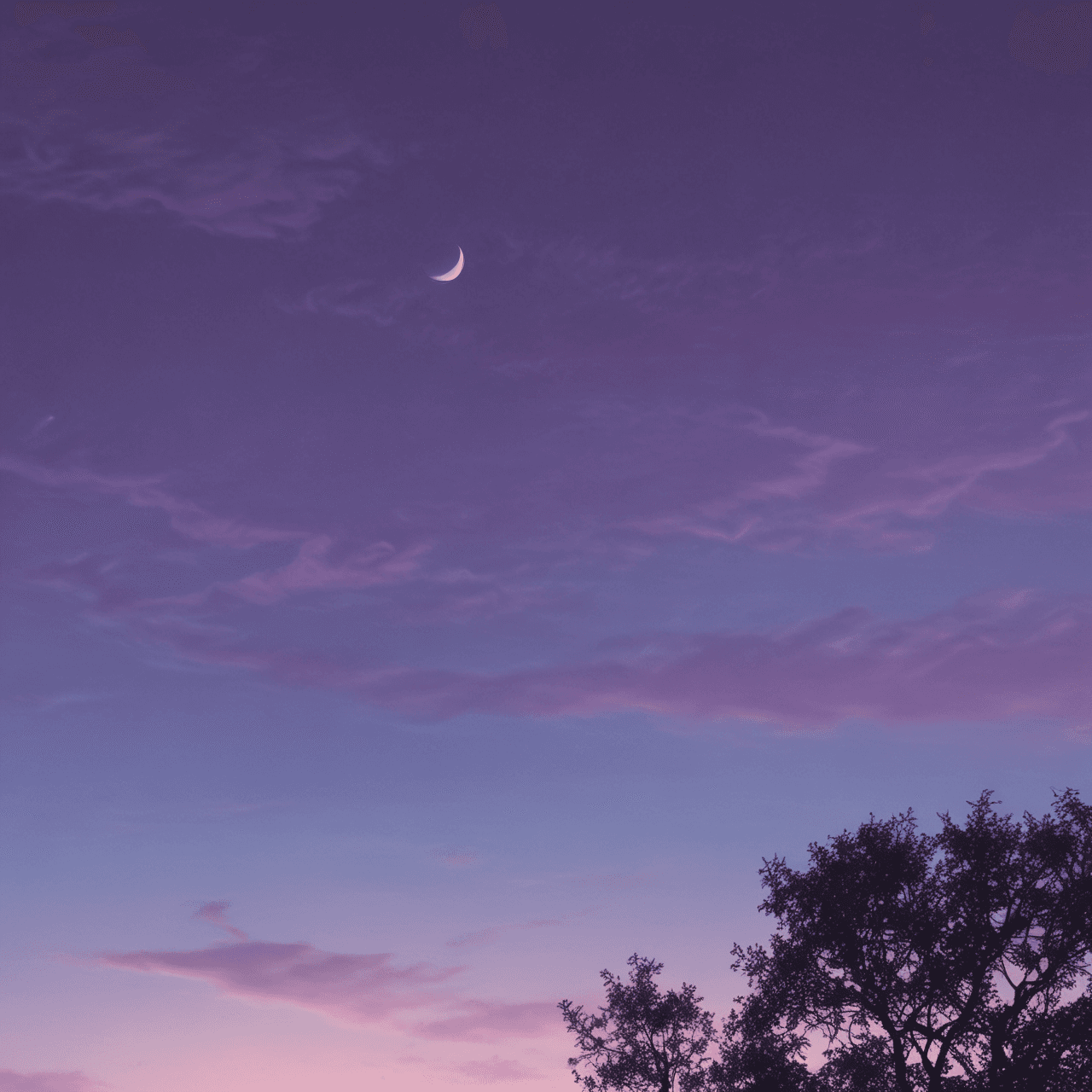 Loup Attaque game banner