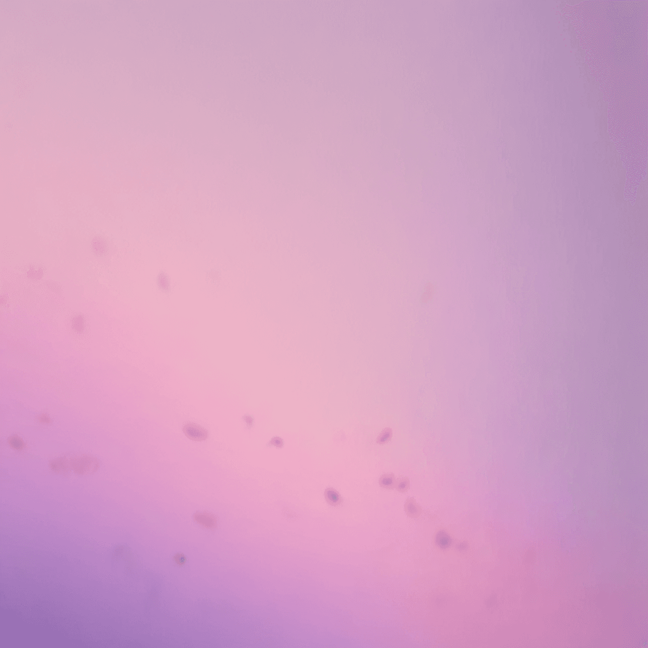 Rush Hour Jump game banner