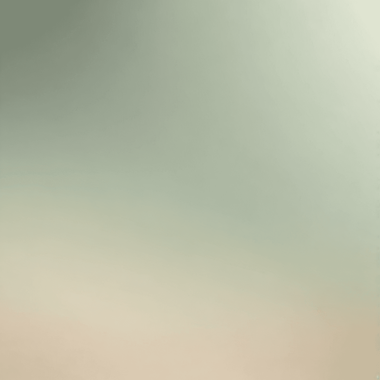 Dino Market Jump game banner