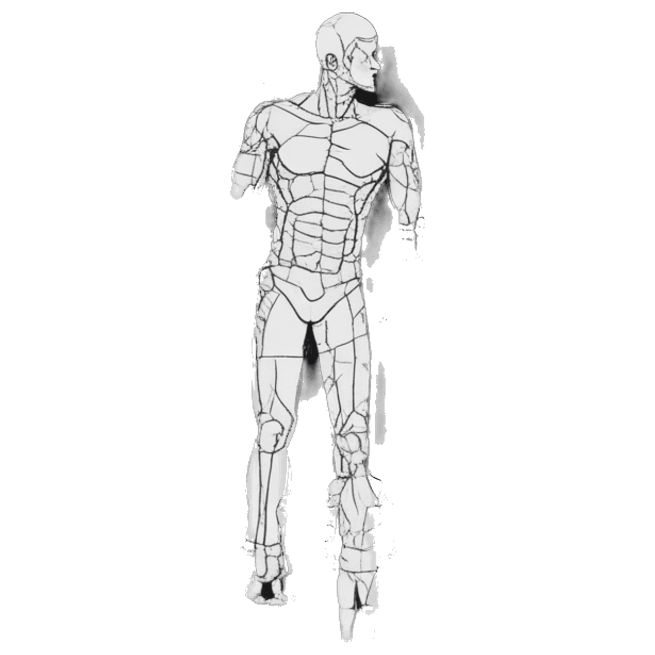 Anatomy Racer game banner