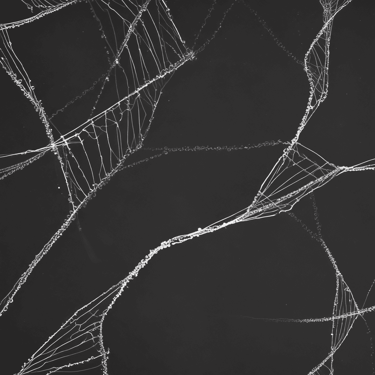 DNA Defenders game banner