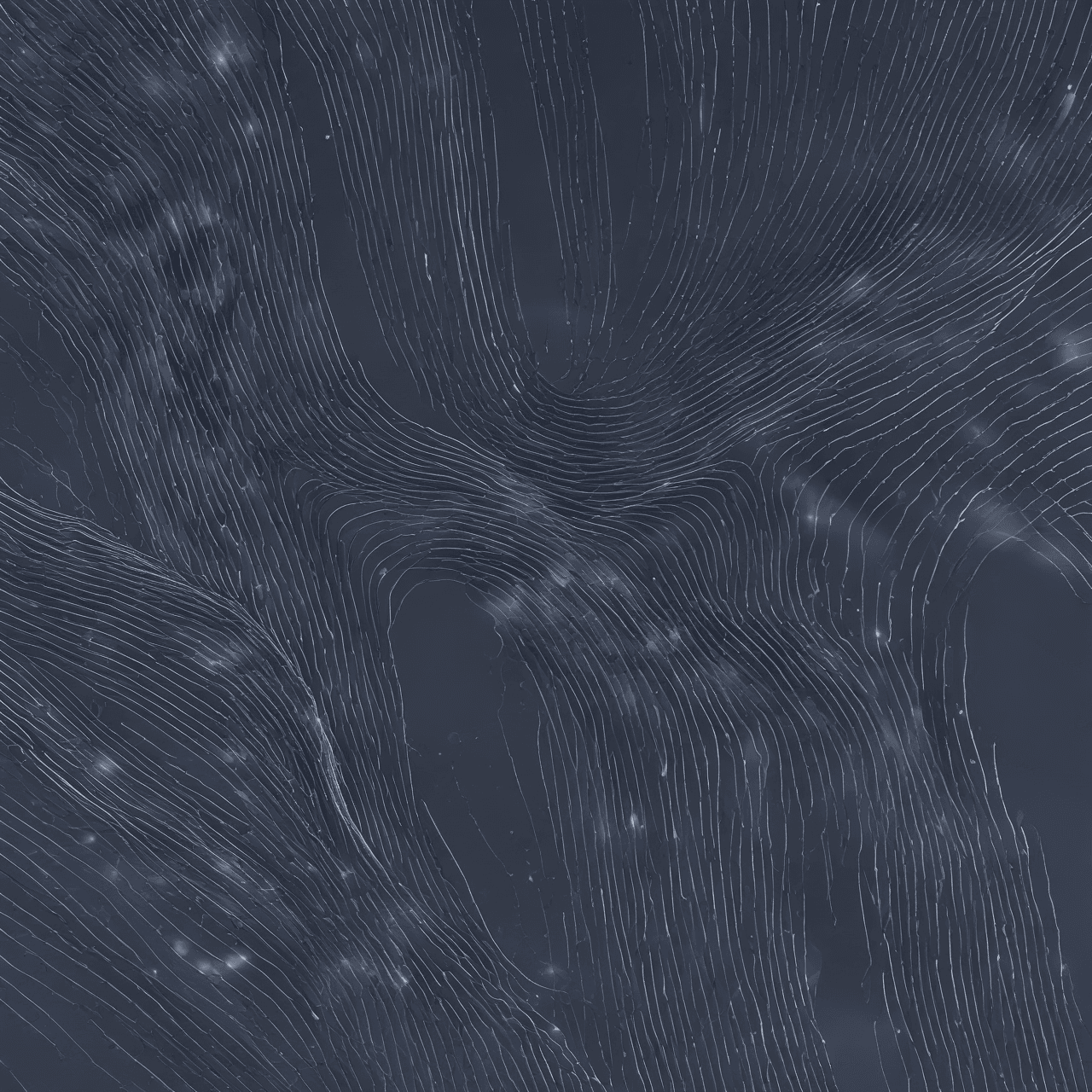 Lenz's Law Defenders game banner