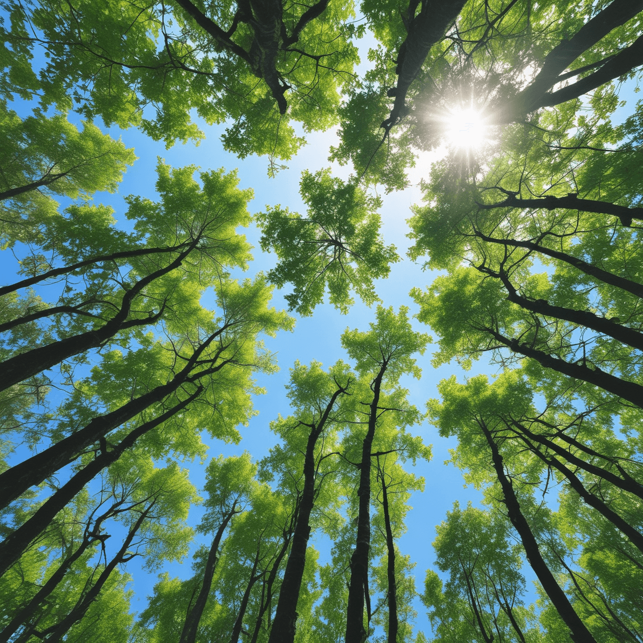 Photosynthesis Runner Quiz game banner