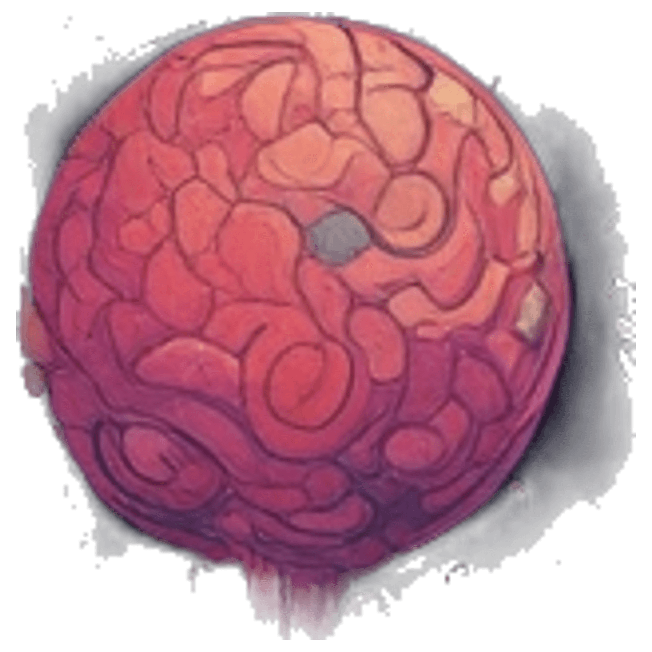 Reproductive Health Bridge game banner