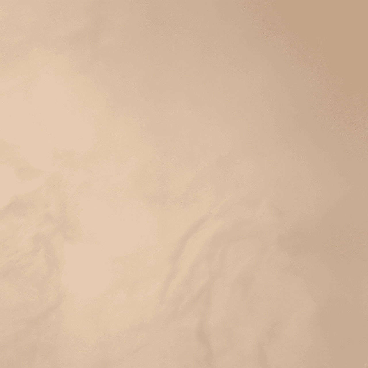 Cheetah run game banner