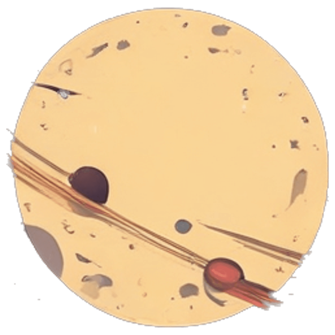 Cosmic Code Bridge game banner