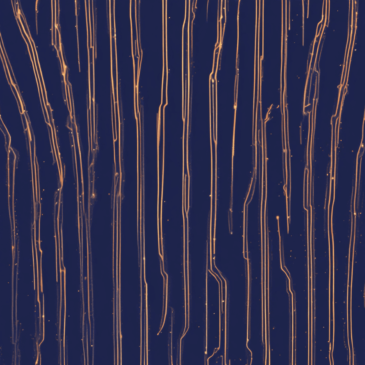 Charge Challenge game banner