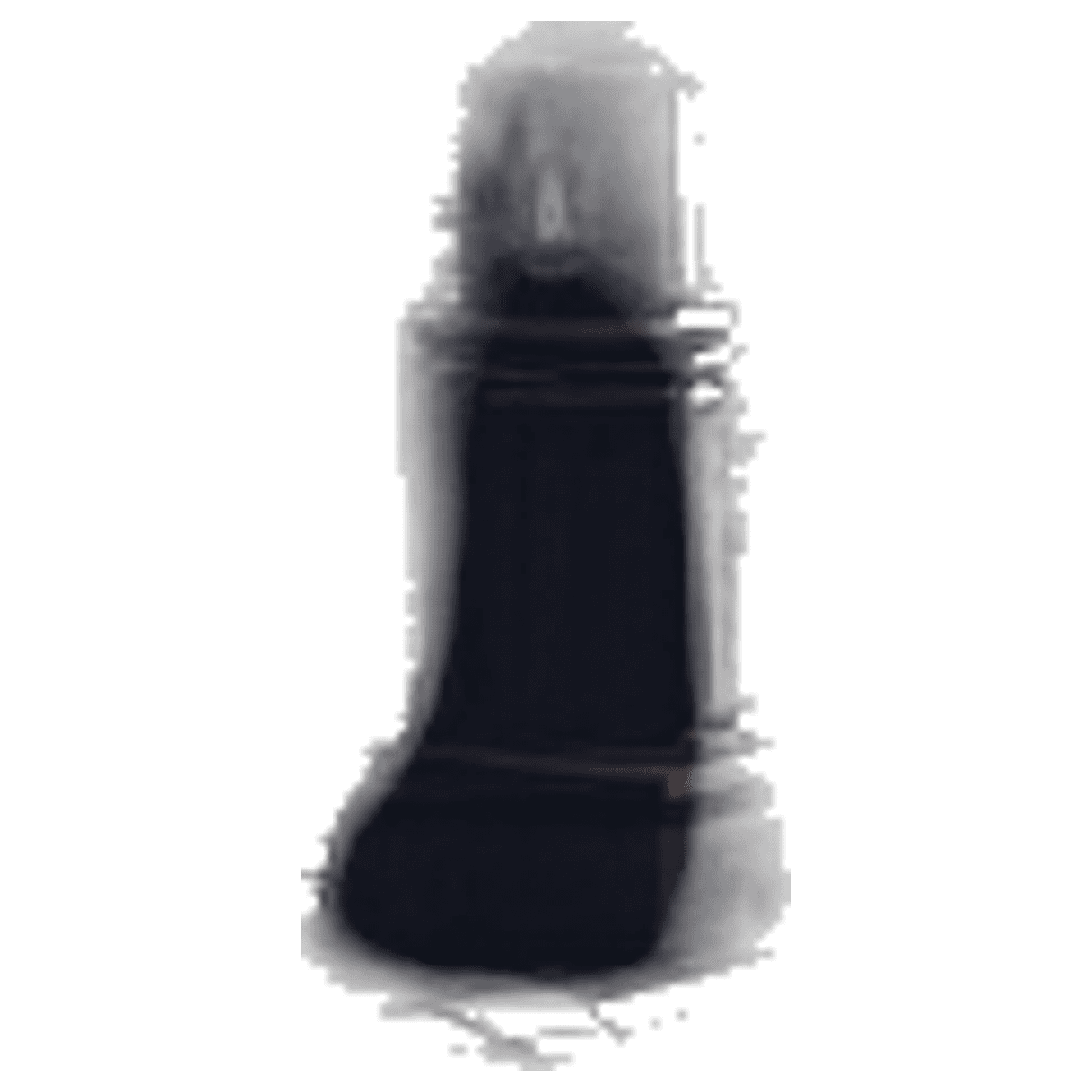 Lombroso's Race game banner