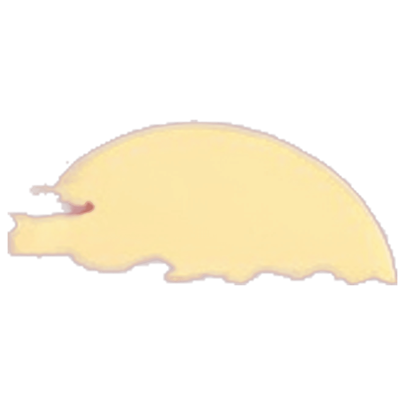 Mandela Trivia Challenge game banner