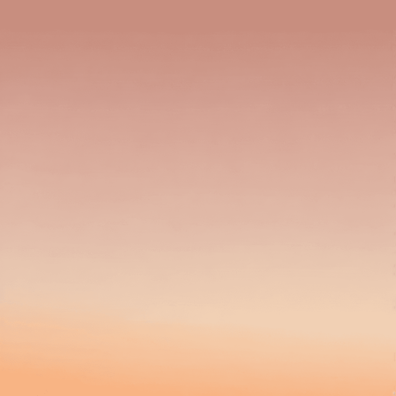 Cheetah run game banner