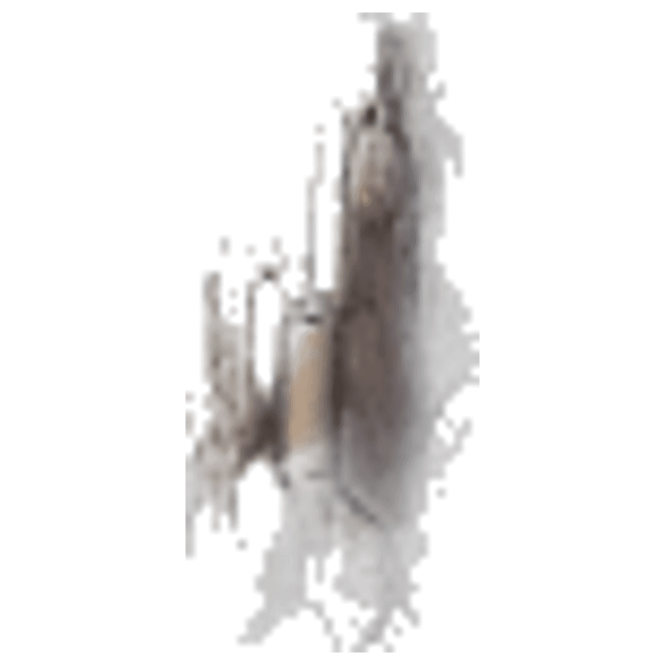 Coal & Petroleum Quiz Adventure game banner