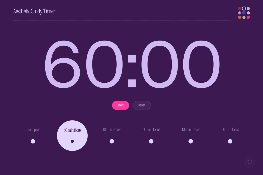 Aesthetic Study Timer (copy)