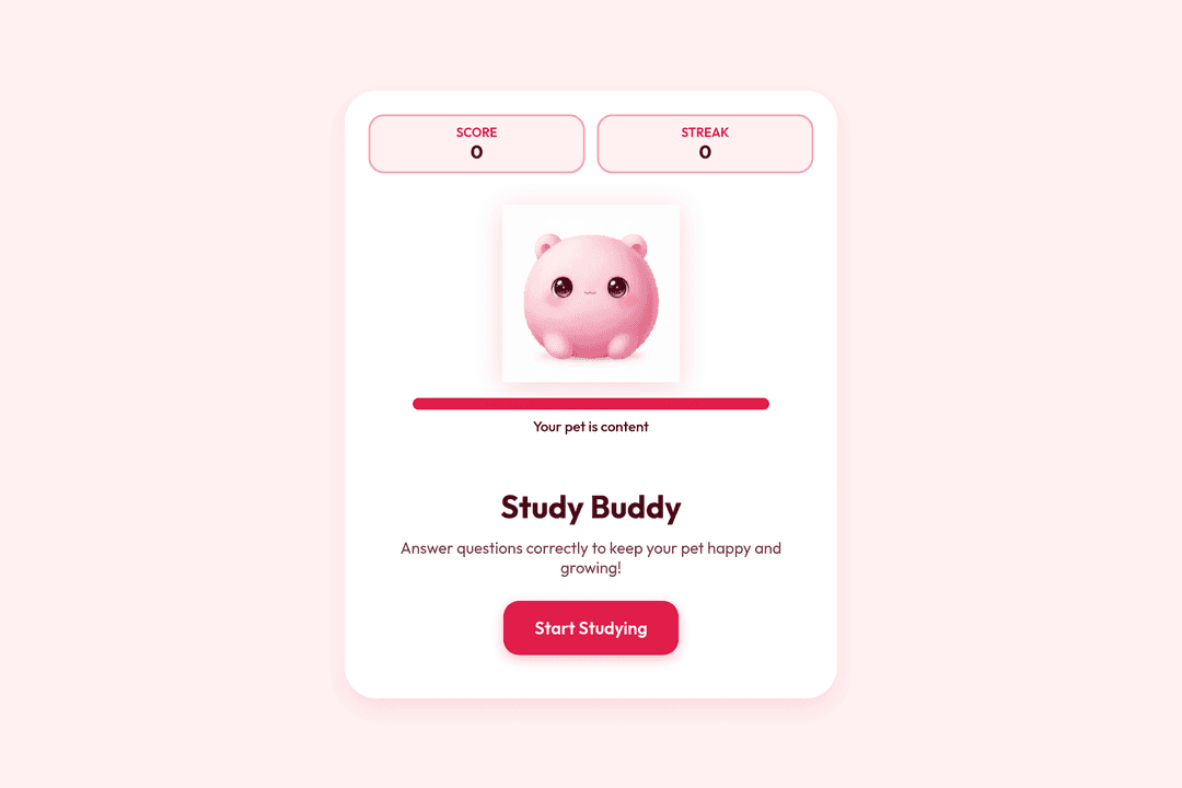 Study Pet 💕💓