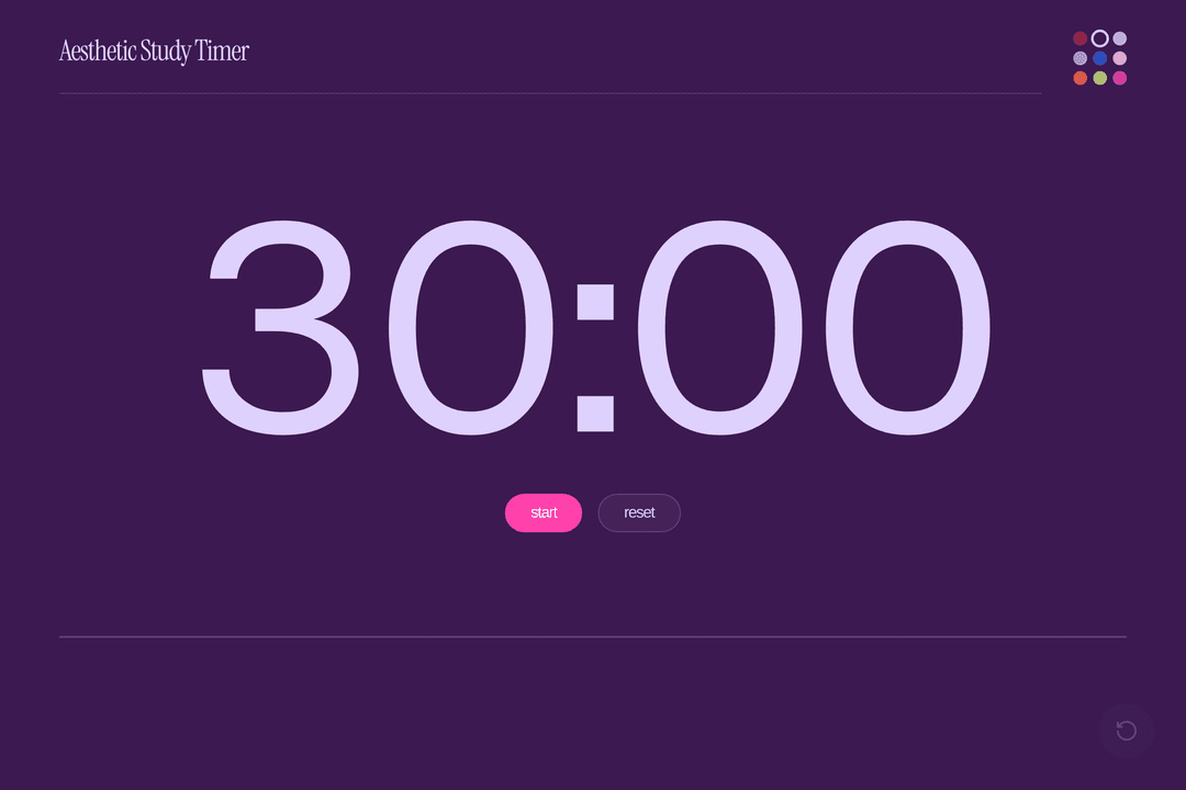 Aesthetic Study Timer (copy)