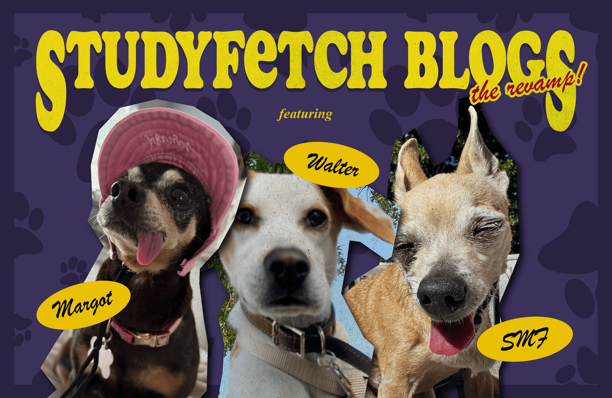 The StudyFetch Blog is Getting a Makeover!